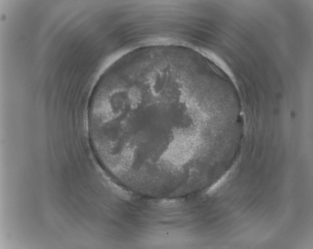 X0000075920839200610151904