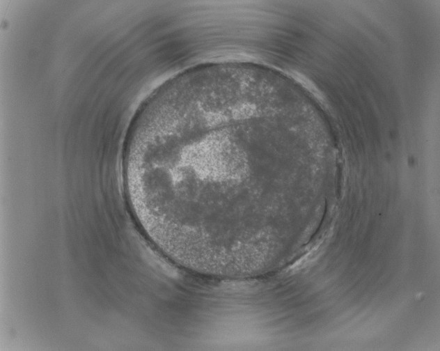 X0000075920840200610151904