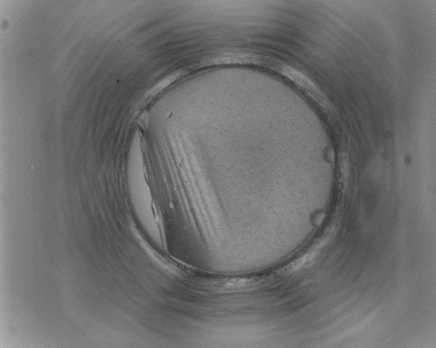 X0000075920841200610151904