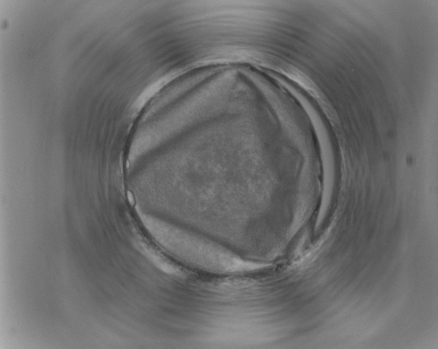 X0000075920842200610151904