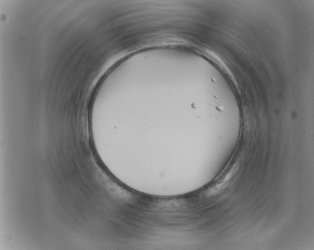 X0000075920843200610151904