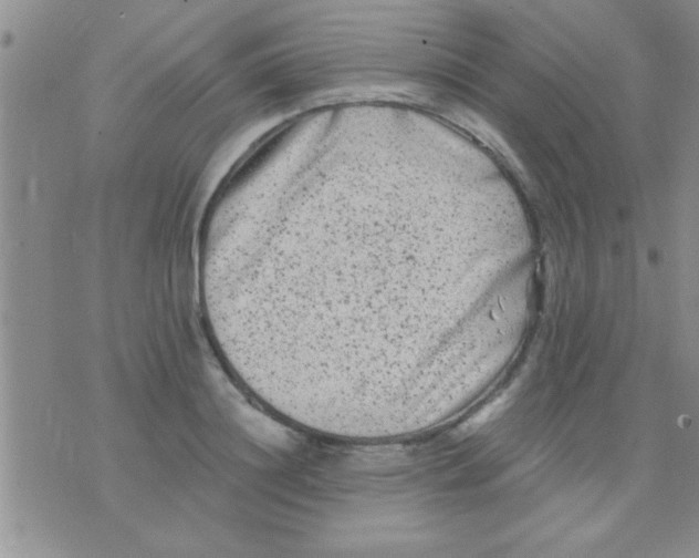 X0000075920844200610151904