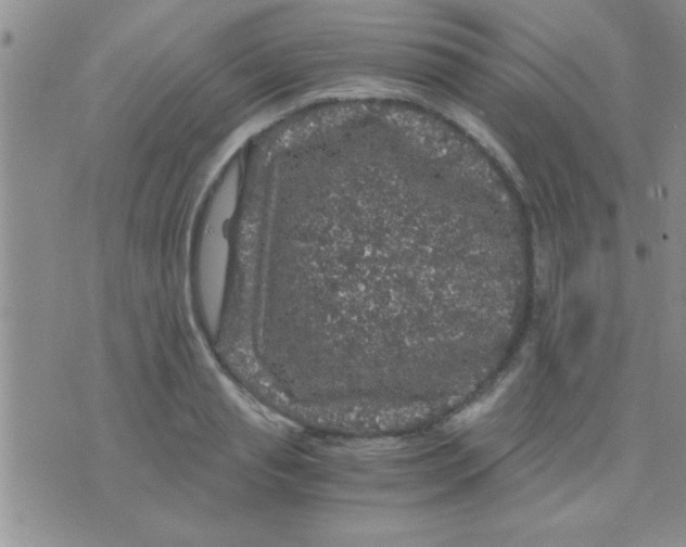 X0000075920845200610151904