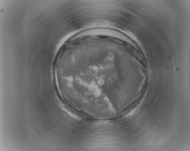 X0000075920846200610151904