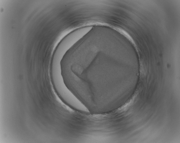 X0000075920847200610151904