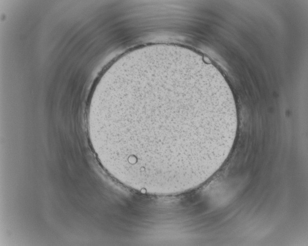 X0000075920848200610151904