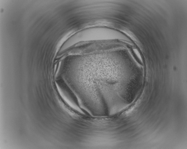 X0000075920850200610151904