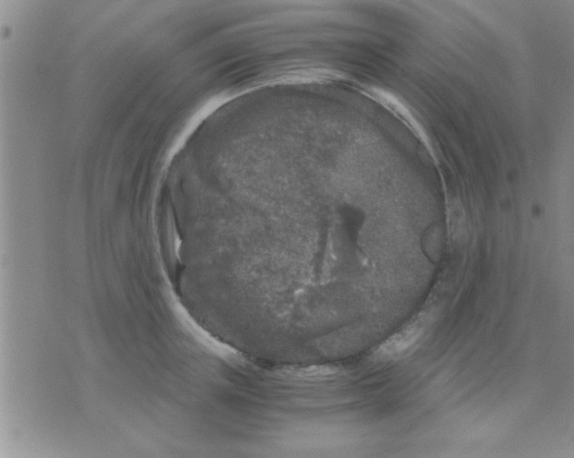 X0000075920851200610151904