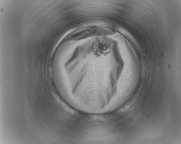 X0000075920852200610151904