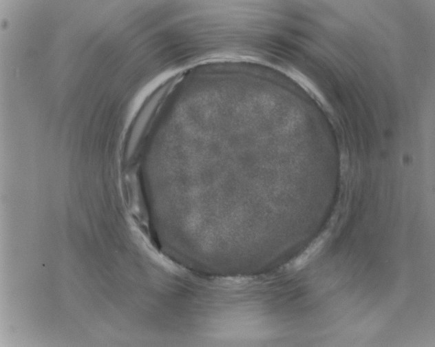 X0000075920854200610151904