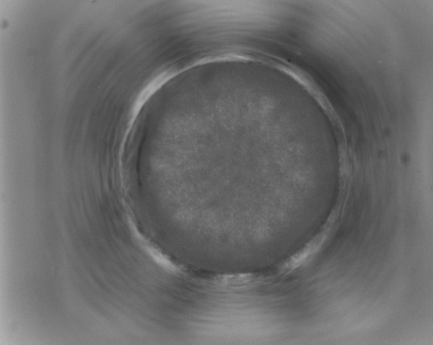 X0000075920858200610151904