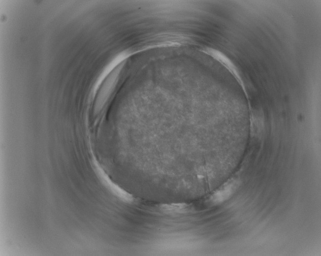 X0000075920859200610151904