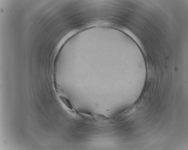 X0000075920861200610151905