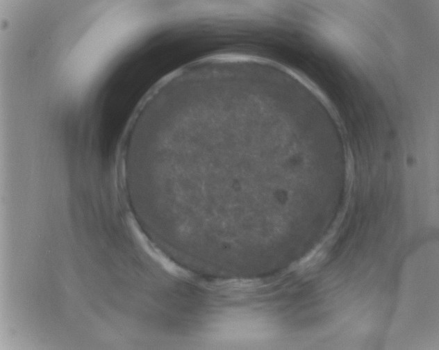 X0000075920862200610151905