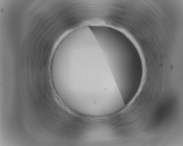 X0000075920864200610151905