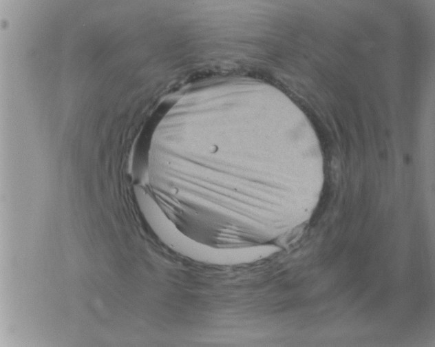 X0000075920865200610151904