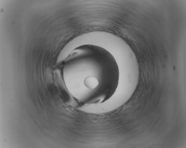 X0000075920868200610151904