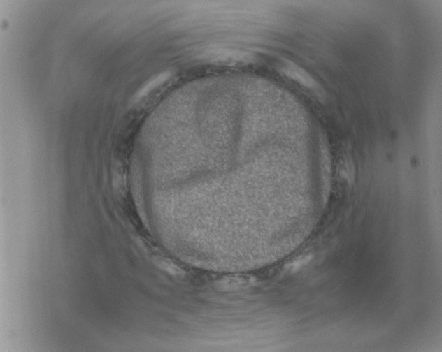 X0000075920869200610151904