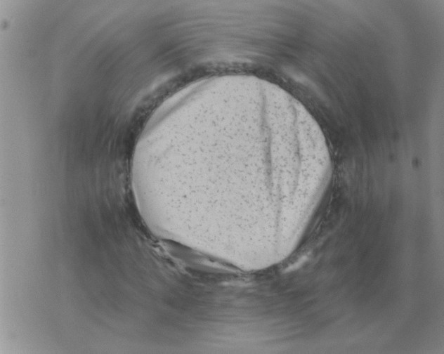 X0000075920870200610151904