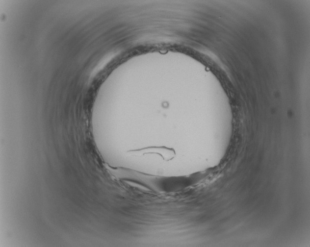 X0000075920871200610151904