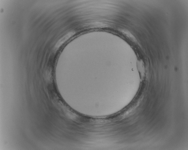 X0000075920873200610151904