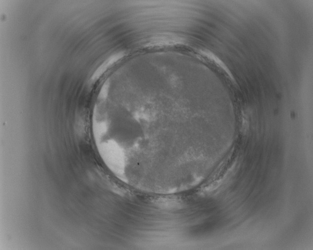 X0000075920874200610151904