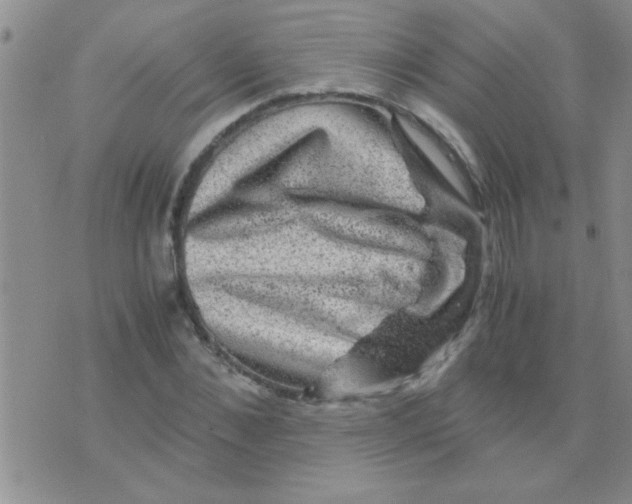 X0000075920876200610151904