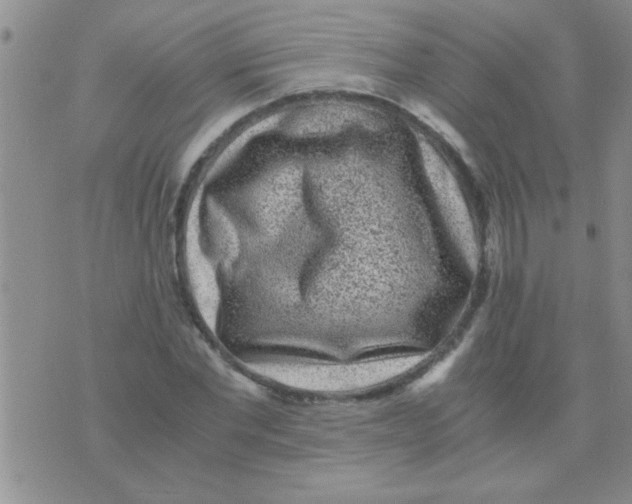 X0000075920877200610151904