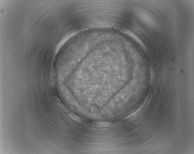 X0000075920878200610151904