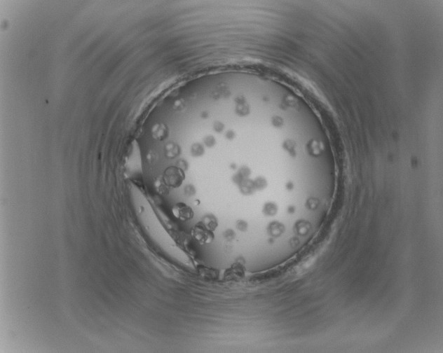 X0000075920881200610151904