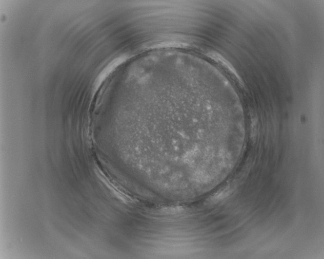 X0000075920882200610151904