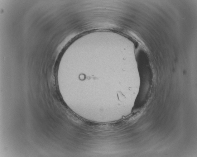 X0000075920883200610151904