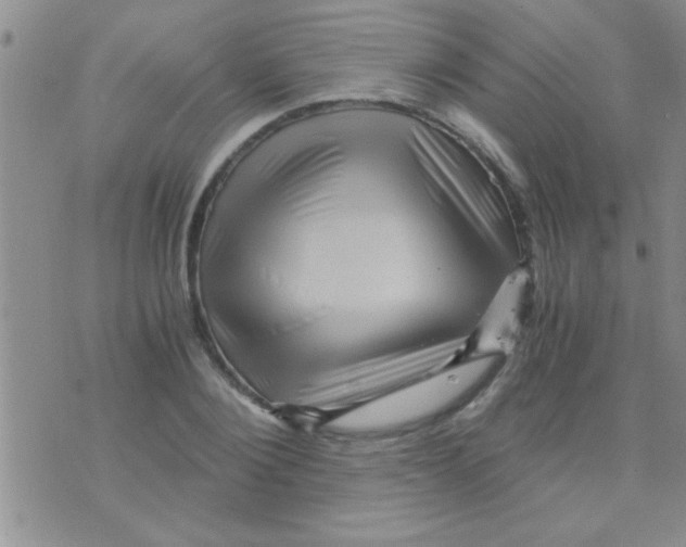 X0000075920884200610151903