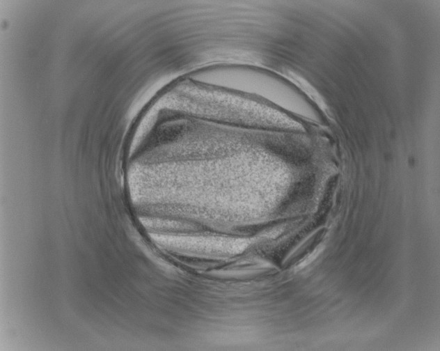 X0000075920885200610151903