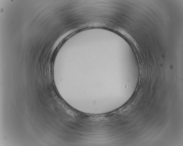 X0000075920886200610151903