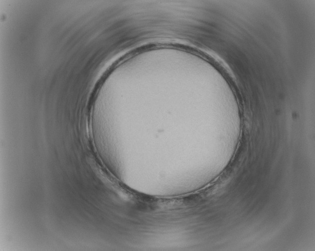 X0000075920887200610151903