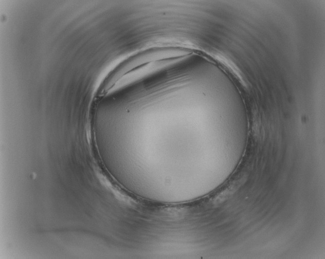 X0000075920888200610151903