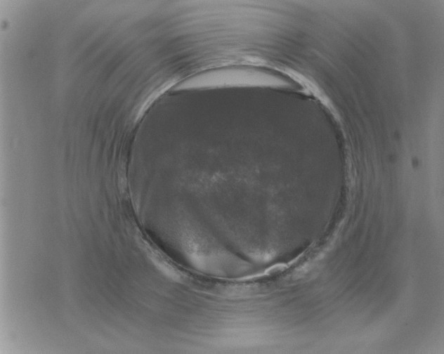 X0000075920889200610151903