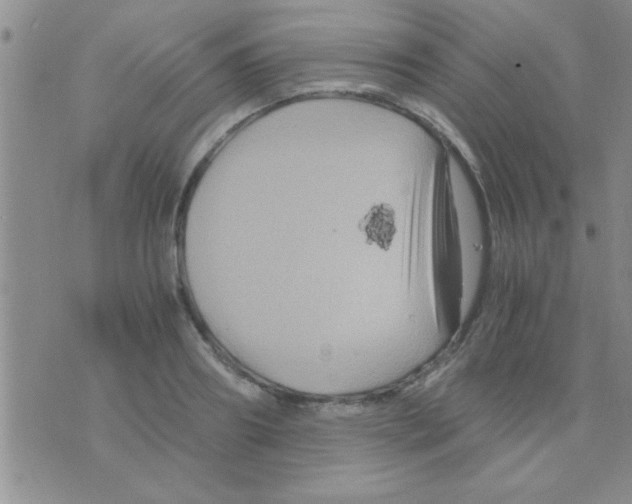 X0000075920890200610151903