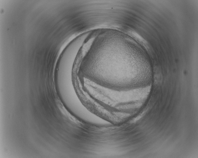 X0000075920892200610151903