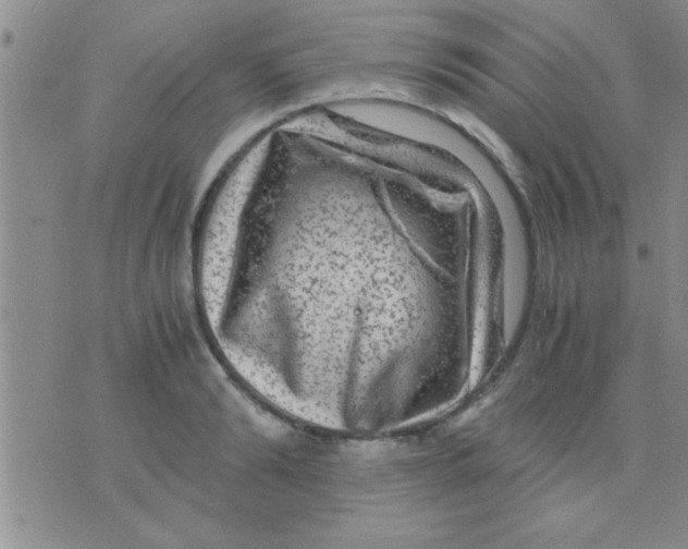 X0000075920894200610151903