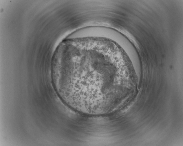 X0000075920896200610151903