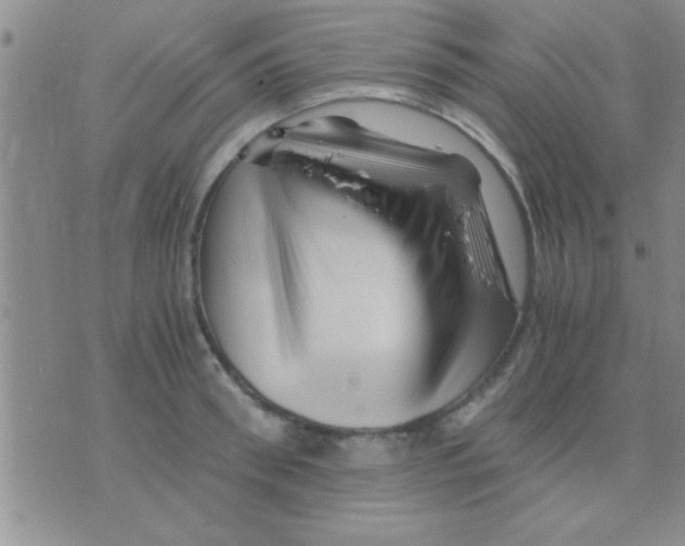 X0000075920898200610151903