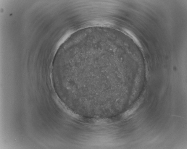 X0000075920899200610151903