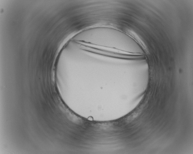 X0000075920900200610151903