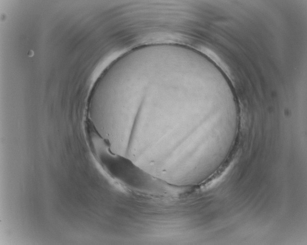 X0000075920901200610151903