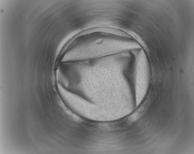 X0000075920904200610151903