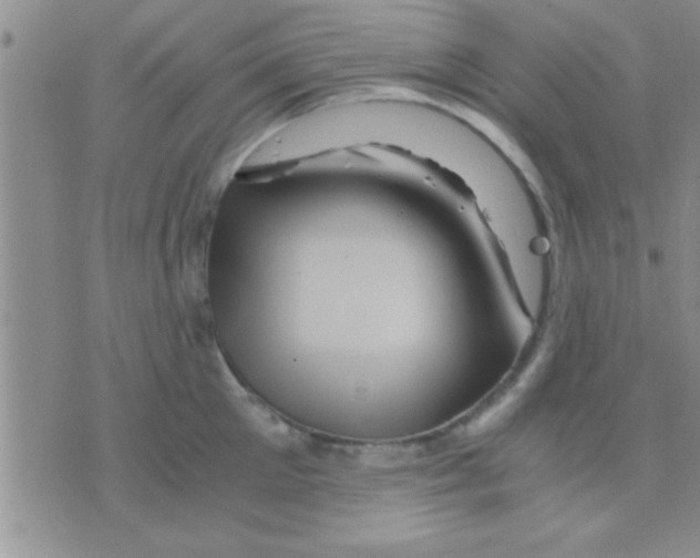 X0000075920905200610151903