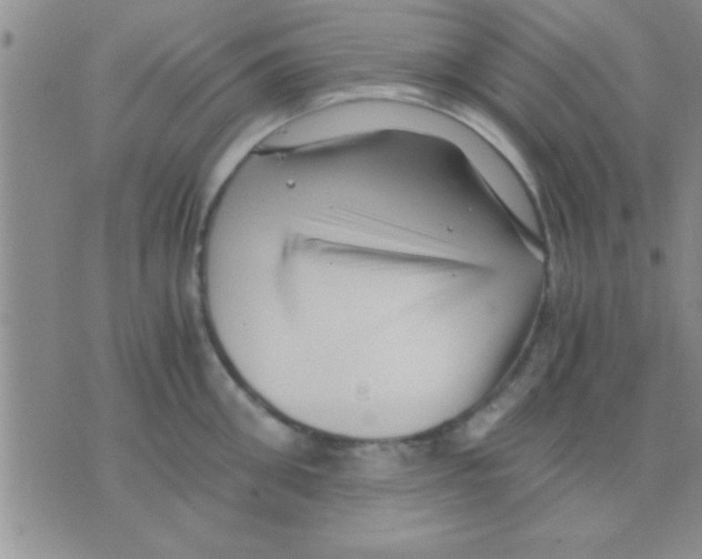 X0000075920906200610151903