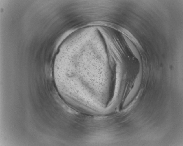 X0000075920908200610151903